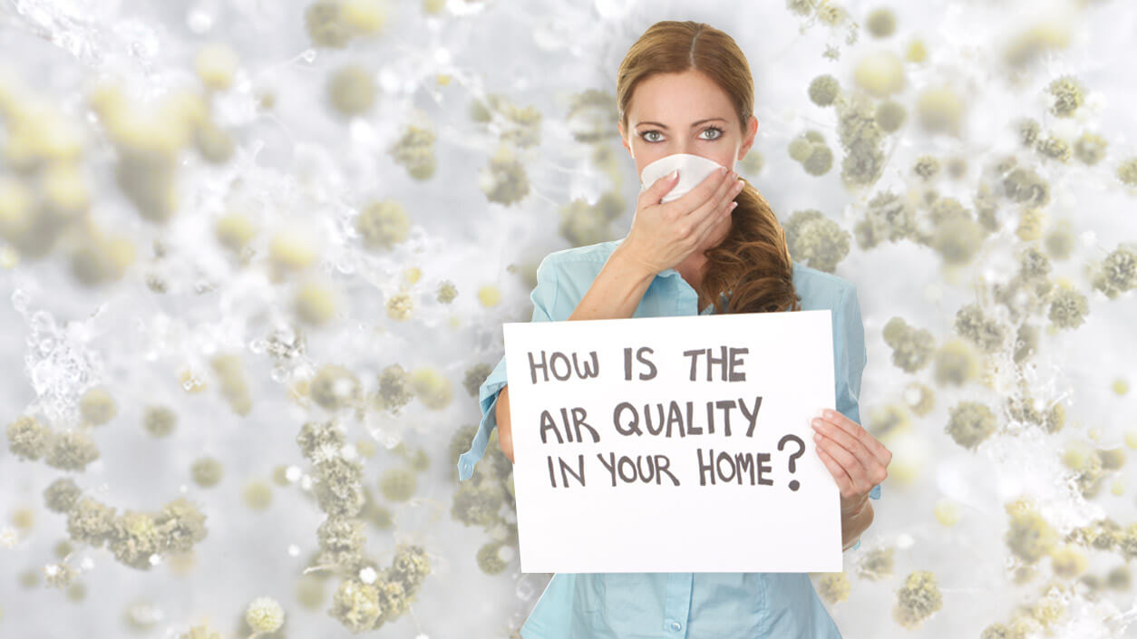 Top 5 Indoor Air Quality Products for Your San Angelo Home